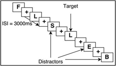 Frontal Structural Neural Correlates of Working Memory Performance in Older Adults